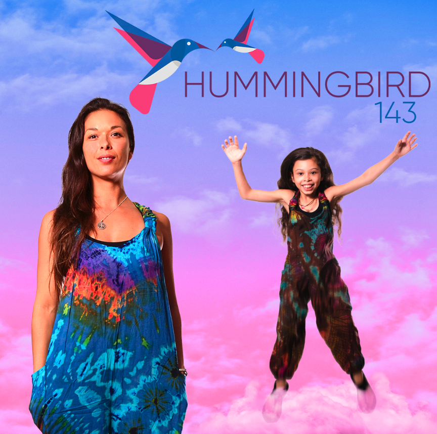 Hummingbird 143